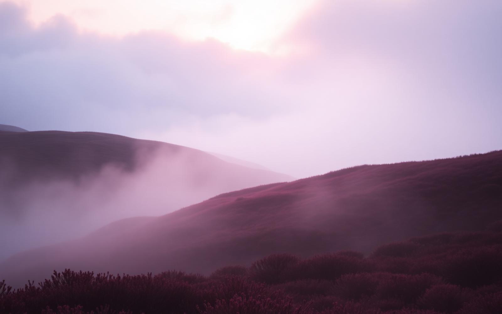 Misty Scottish Highland hills glowing with soft rose light at dawn